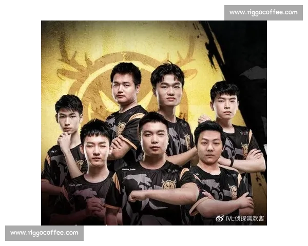 战队内部训练体系大公开，提升实力有何秘诀