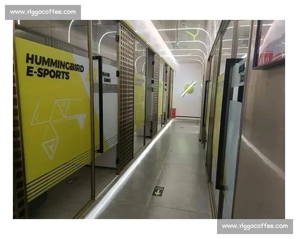 揭秘AI选手训练营，颠覆你对电子竞技的认知！